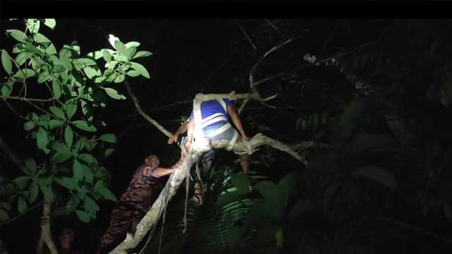গভীর রাতে মগডালে উঠে অজ্ঞান যুবক, নামাল ফায়ার সাভির্সের কর্মীরা