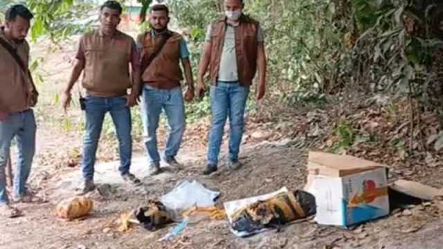 পড়ে থাকা কার্টন খুলতেই বেরিয়ে এলো টুকরো টুকরো মরদেহ