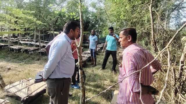 মধুতে চিনি মেশানোয় মৌচাষীকে জরিমানা