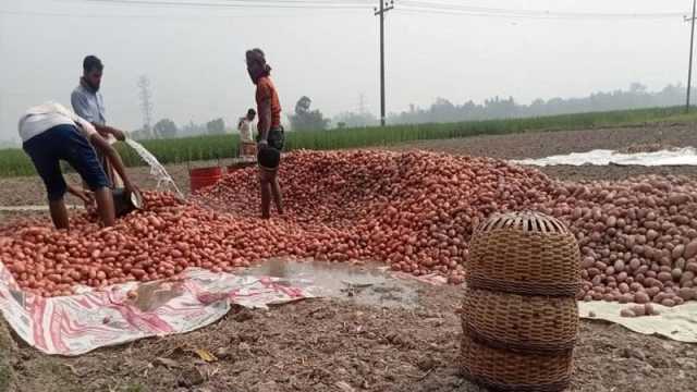 কেজিপ্রতি আলু সংরক্ষণ ভাড়া ৮ টাকাই যৌক্তিক