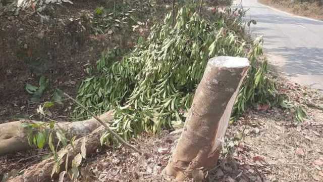 ‘এখানে কী হচ্ছে তুই বুঝছ না? যা আছে বের কর’