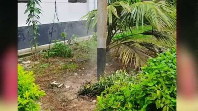 হাসপাতাল চত্বরে দুর্গন্ধযুক্ত ধোঁয়া নিয়ে উদ্বেগ