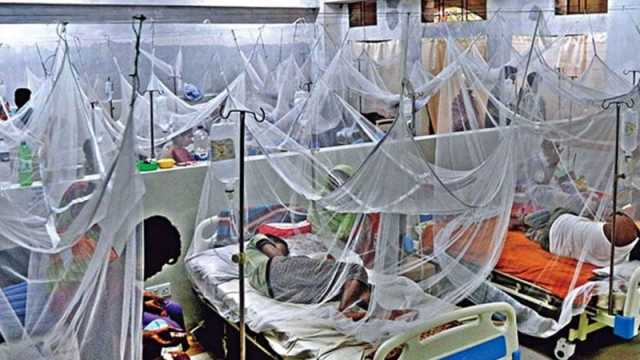 ডেঙ্গুতে ২ জনের মৃত্যু, হাসপাতালে ৩৩৭