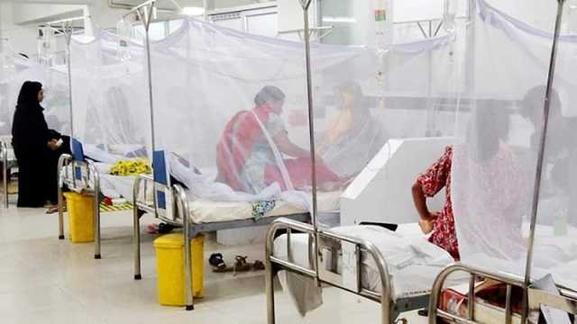 ডেঙ্গু আক্রান্ত হয়ে ৩ জনের মৃত্যু, হাসপাতালে ভর্তি ৪৯২