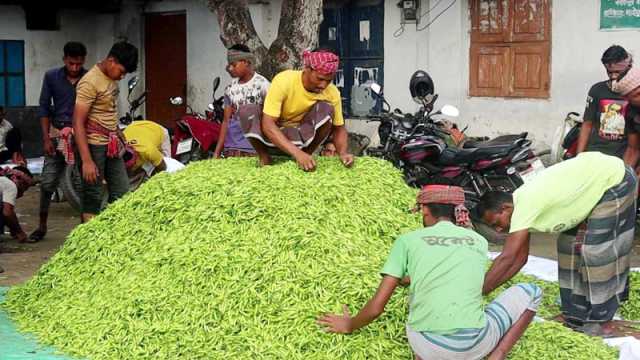 এক সপ্তাহে কাঁচা মরিচের দাম ৬ গুণ, ক্রেতাদের নাভিশ্বাস