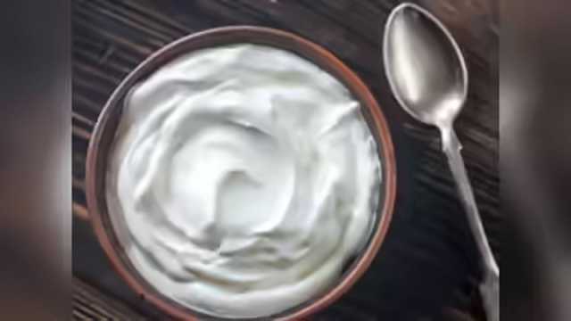 বর্ষাকালে দই খাওয়া কি ঠিক