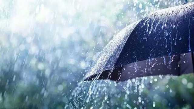 সাগরে লঘুচাপ, বৃষ্টি হতে পারে যেসব এলাকায়