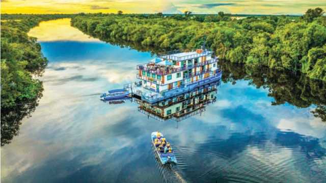 আমাজনের বৃষ্টিবনে