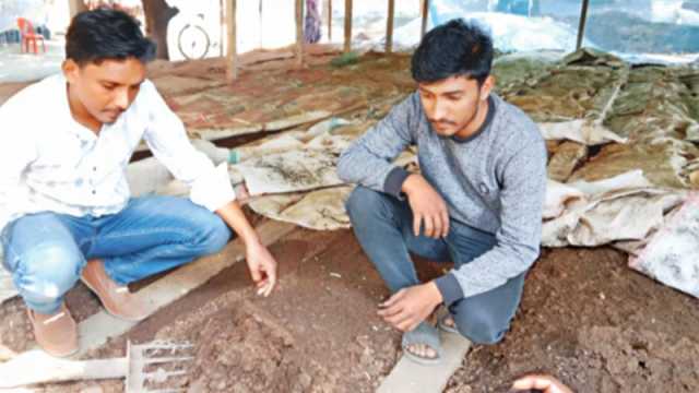 জৈব সারে মাসে লাখ টাকা আয়