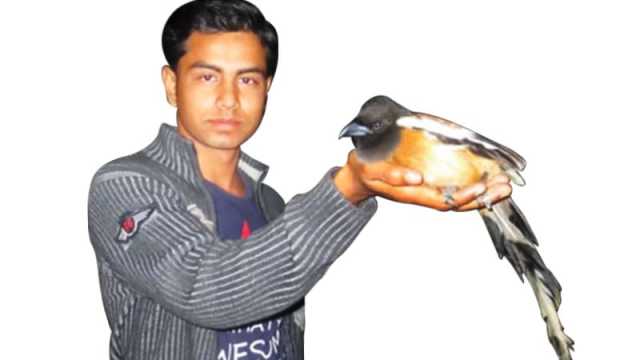 গাছ ও পাখির বন্ধু ফজলে রাব্বী