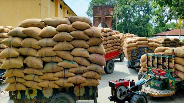 কার্ড কৃষকের, গুদামে ধান দেন মিলার-নেতারা