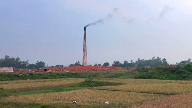 ফসলের সঙ্গে পুড়ছে কৃষকের স্বপ্ন