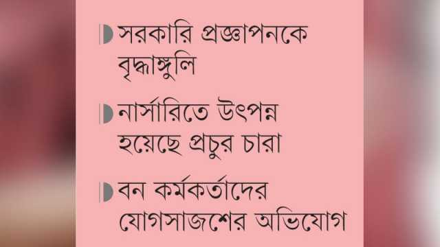 নিষিদ্ধ গাছে ছেয়ে যাচ্ছে বনের জমি