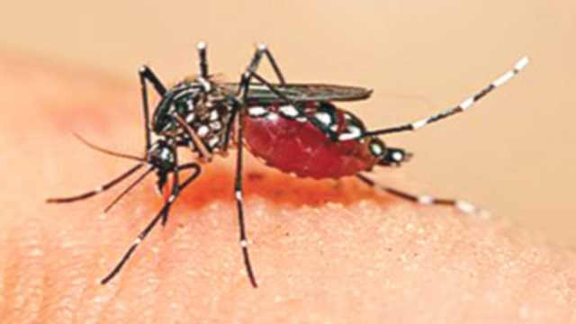 কিছু বিষয় জেনে রাখুন