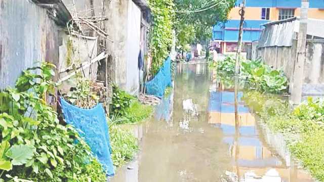 যশোর-খুলনা মহাসড়ক যেন চাষের জমি