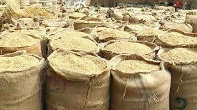দাম বাড়ানোর পরও গুদামে ধান দিতে অনাগ্রহ কৃষকের
