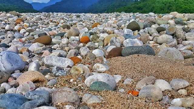 সিলেটের ডিসির বিরুদ্ধে মাঠে বিএনপি নেতারা