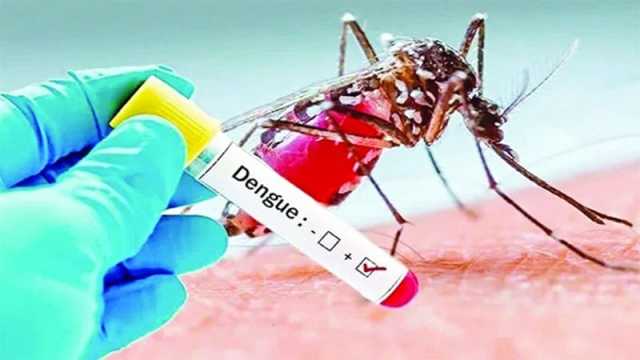চট্টগ্রামে ডেঙ্গুতে একদিনে রেকর্ড ২৩ জন আক্রান্ত