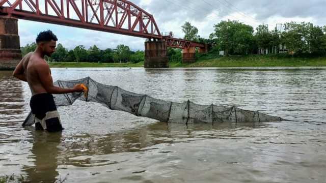 অভয়াশ্রমেই নিধনযজ্ঞ মাছের প্রজননে ঝুঁকি