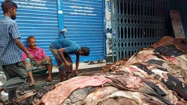 চামড়ার দাম কাগজে, মাঠে ধস