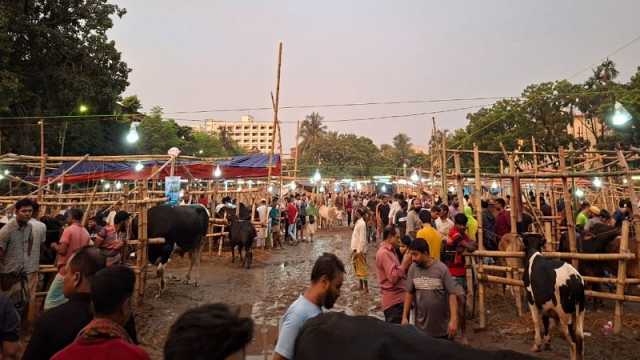 কোরবানির পশুর হাট: শেষ রাতেও চলছে দরকষাকষি