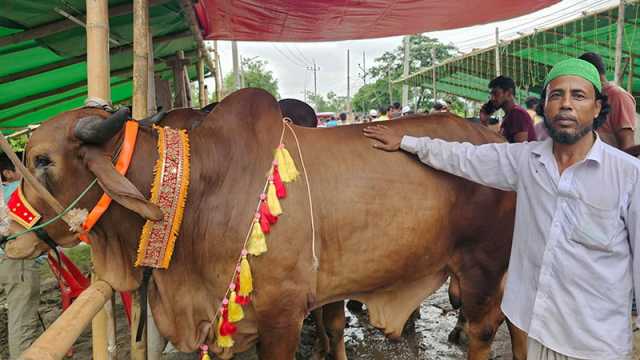 ‘টাইগার’ ও ‘কালা মানিক’ নিয়ে বিপাকে ব্যবসায়ী