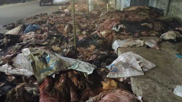 ২ লাখ টাকার গরুর চামড়া ২০০ টাকায় বিক্রি