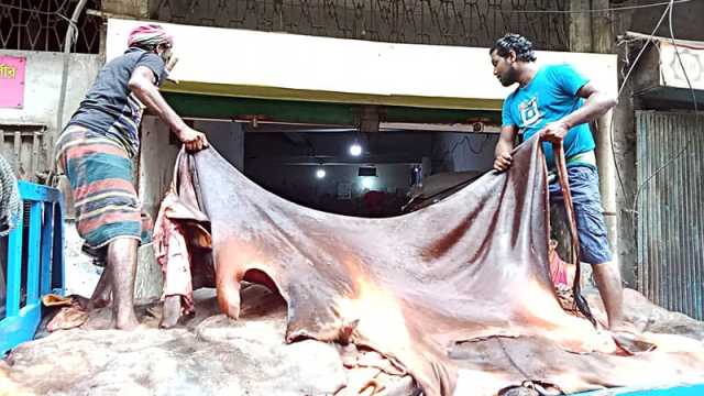 এবারও চামড়া নিয়ে হতাশা, লোকসানের শঙ্কায় ব্যবসায়ীরা
