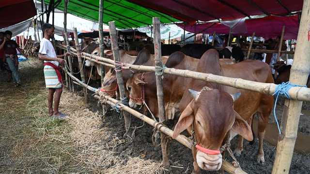 শেষ দু’দিনের প্রত্যাশায় ক্রেতা-বিক্রেতা