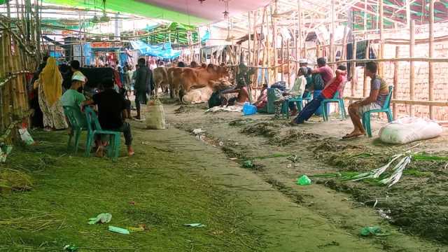 গাবতলী হাটে মাঝারি–ছোট গরুর সংকট