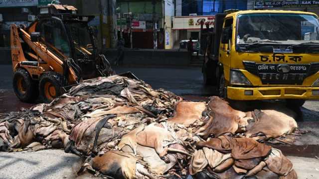 দাম নিয়ে মনোপলি খেলা, রাস্তায় চামড়া ফেলে ক্ষোভ প্রকাশ