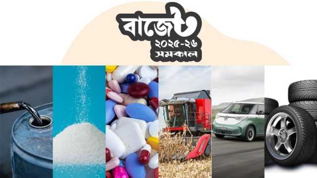 আমদানি শুল্ক হ্রাসের প্রস্তাব করা হয়েছে যেসব পণ্যে