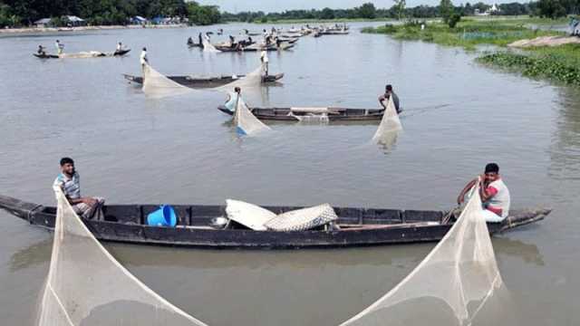 হালদার রেণুর দাম কেজিতে দেড় লাখ টাকা