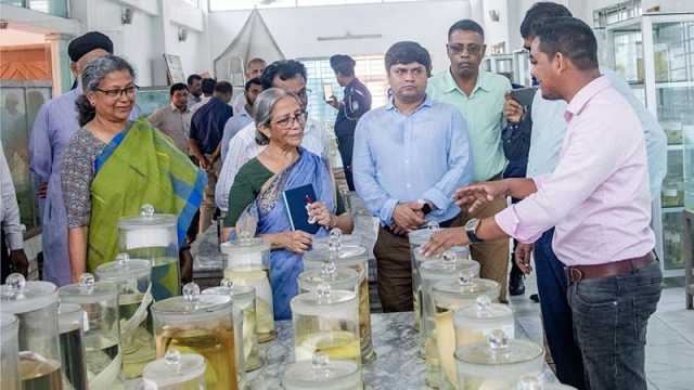 মাছের উৎপাদন বৃদ্ধিতে আন্তঃসমন্বয় জরুরি: উপদেষ্টা ফরিদা 