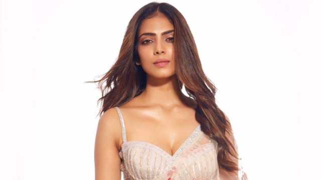 অতীতের গল্প শোনালেন মালবিকা