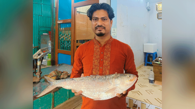 চাঁদপুরে এক ইলিশ ১৩ হাজার ৫০০ টাকায় বিক্রি