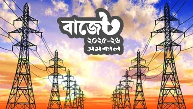 বিদ্যুতের মূল্য আপাতত বাড়বে না 
