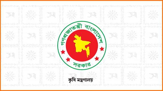 নতুন তিন জাতের ধান আনলো ব্রি, উপকূল চাষের উপযোগী