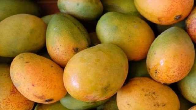 বাংলাদেশের আম বিশ্ববাজারে 