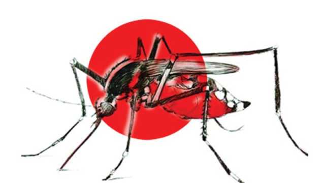 ডেঙ্গু আক্রান্তের ৪৬ শতাংশ বরিশালের