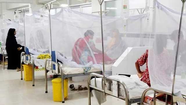 ডেঙ্গুতে একদিনে সর্বোচ্চ ৫ মৃত্যু, হাসপাতালে ভর্তি ১৫৯