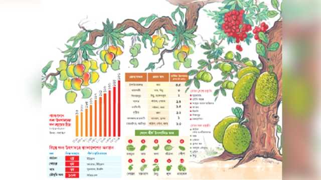 ছোট দেশ, বড় সাফল্য