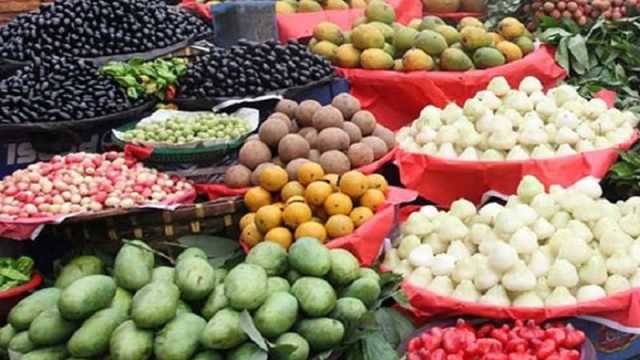 জাতীয় ফল মেলা শুরু আজ