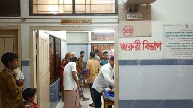 শৈলকুপায় কুকুরের কামড়ে শিশুসহ আহত ১৭, হাসপাতালে নেই ভ্যাকসিন