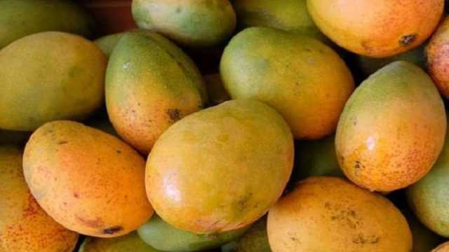 কখন আম খাওয়া ঠিক নয়