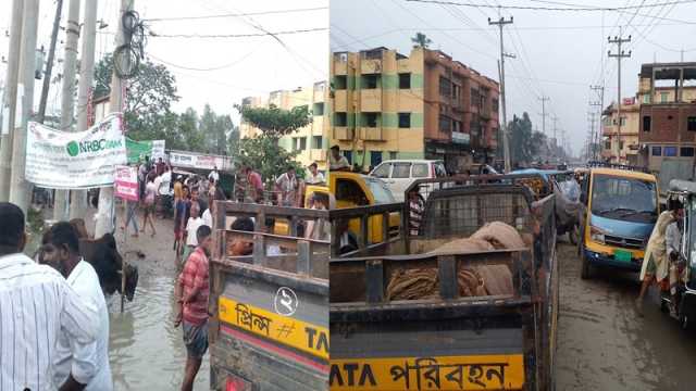 নবীগঞ্জে সড়কের পাশে পশুর হাট, ভোগান্তি
