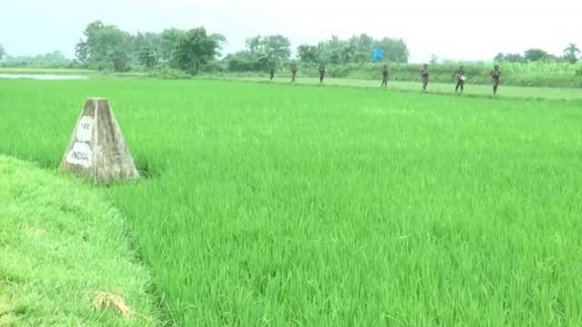 মেহেরপুরের রংমহল সীমান্ত দিয়ে ৮ জনকে ঠেলে পাঠাল বিএসএফ