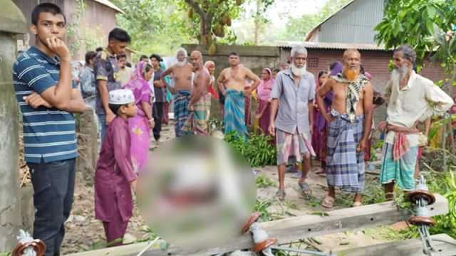 মির্জাপুরে বিদ্যুতের খুঁটির চাপা পড়ে বৃদ্ধ নিহত