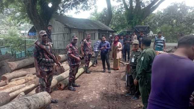 স’ মিলে টাস্কফোর্সের অভিযানে ৩২ লাখ টাকার কাঠ জব্দ, জরিমানা