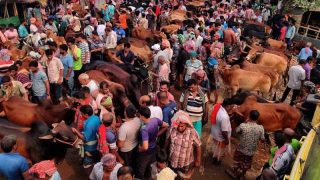 হাটে নেই ভারতীয় গরু দেশি পশুতেই ভরসা